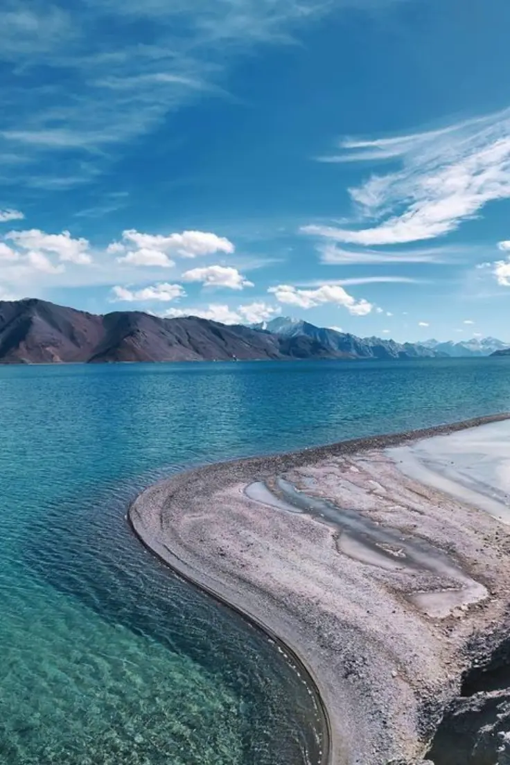 Untitled design (74)