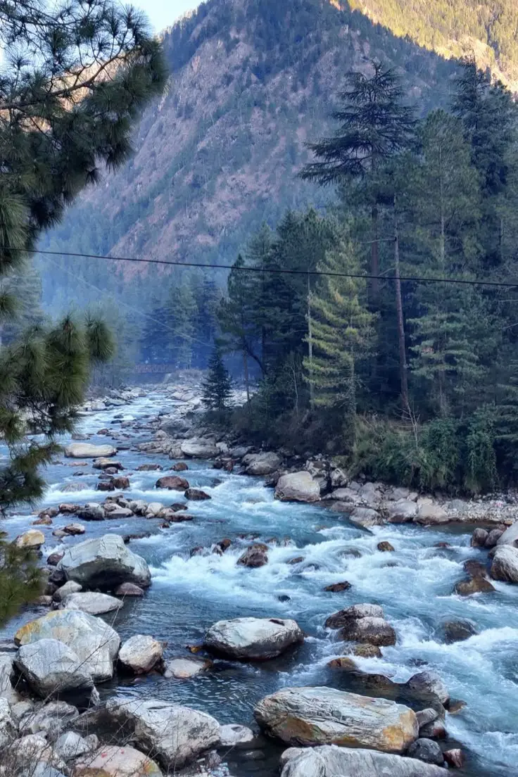 Untitled design (77)