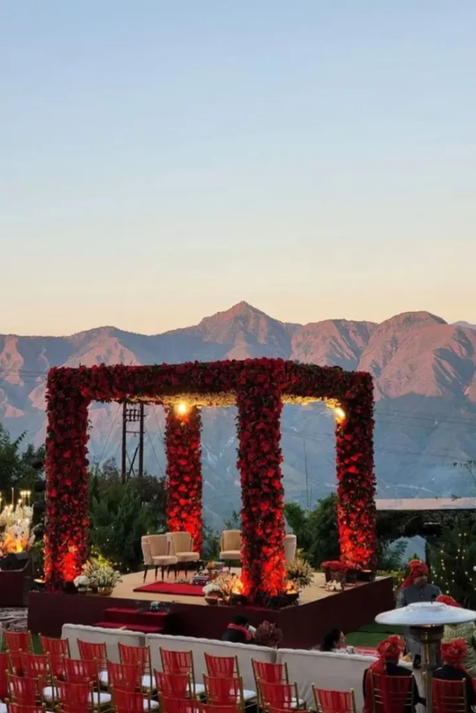 Untitled design (79)