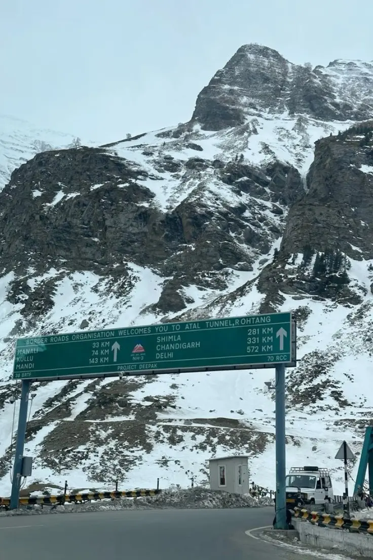 Untitled design (80)