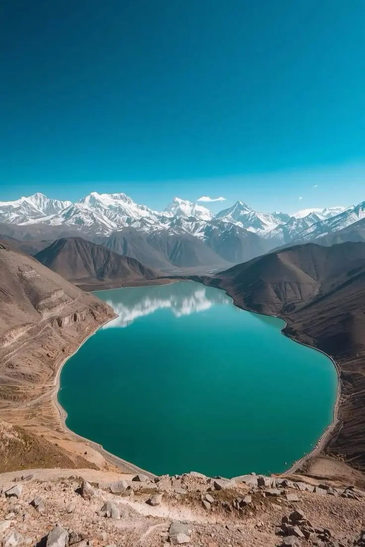 Untitled design (85)